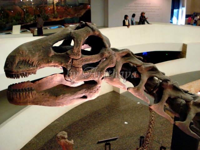 Museum16.JPG
